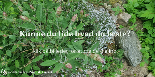 Kunne du lide, hvad du l&aelig;ste?